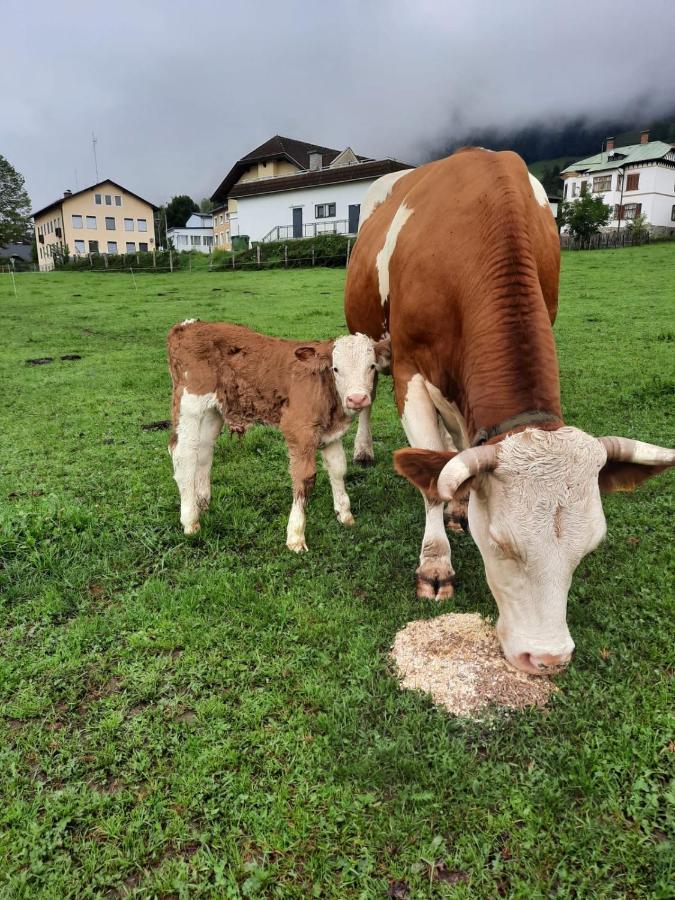 Gaestehaus Post Aigner Greifenburg Eksteriør bilde